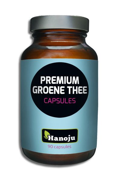 NL Grüner Tee Extrakt premium, 400 mg, 90 Kapseln