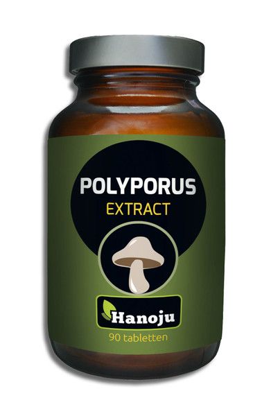 Polyporus Pilz Extrakt 400 mg,  90 Tabletten